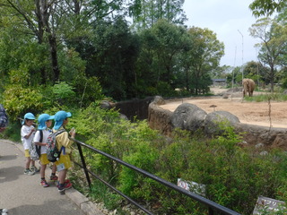 DSCF4844.JPG