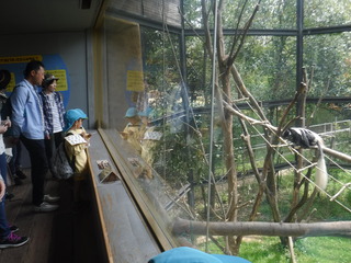 DSCF4849.JPG