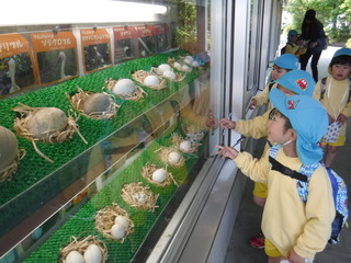 DSCF4853.JPG