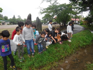 DSCF6169.JPG