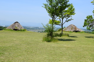 DSC_0130.JPG