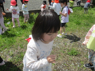 IMG_4462.JPG
